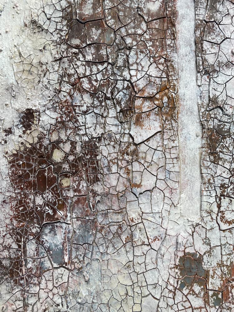 Fragment 8 by Gabriela Aleksandra Szuba — canvas wall art