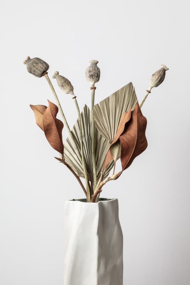 Earthy Poppy Pods Vase by Pictufy Studio III — canvas wall art