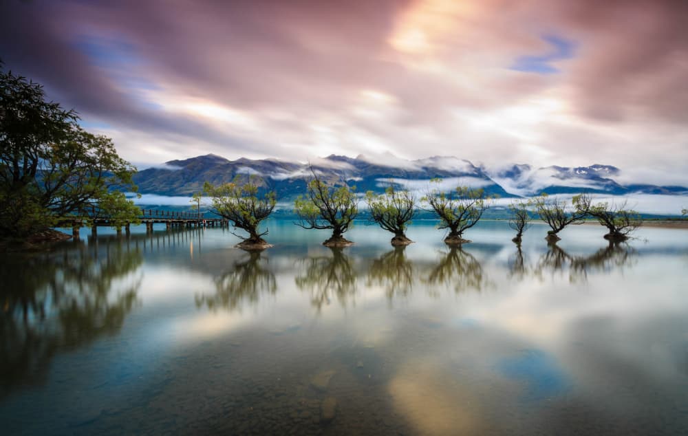 Serene Lakeside Trees by Raimondo Restelli — canvas wall art