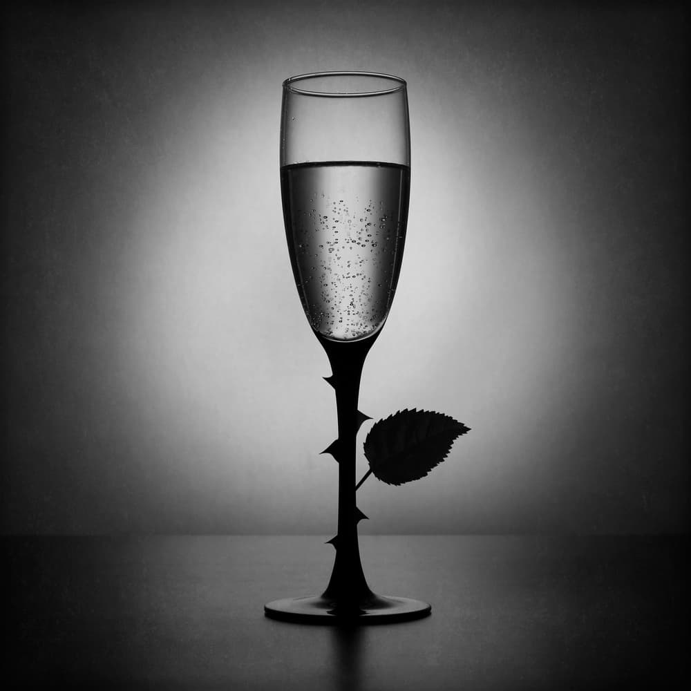 Elegant Rose Champagne by Victoria Glinka — canvas wall art