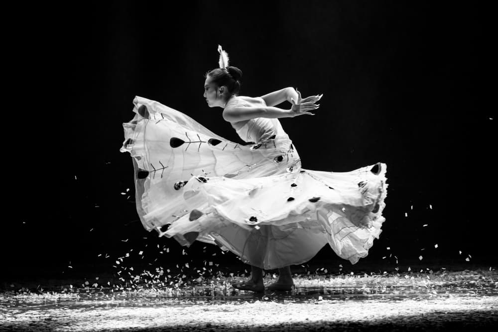 Dynamic Dance Movement by TWEE LIANG WONG — canvas wall art