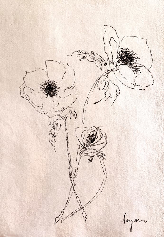 Minimalist Flower Drawing by Dorothy Fagan — canvas wall art