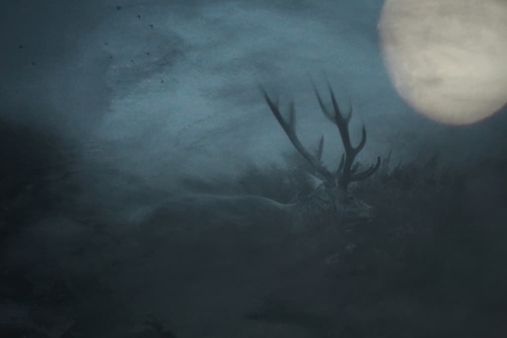 Moonlit Misty Stag by Robert Fabrowski — canvas wall art