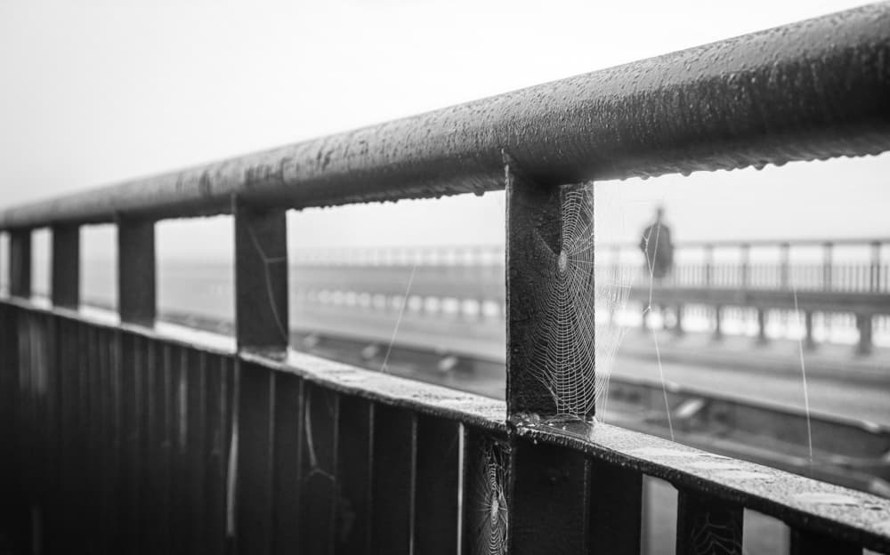 Rainy Bridge Spiderweb by Anna Niemiec — canvas wall art