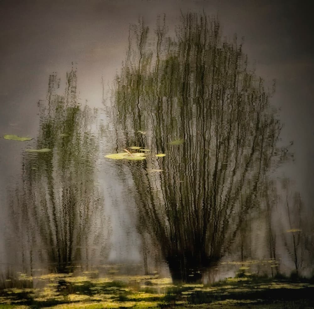 Misty Pond Reflections by Yvette Depaepe — canvas wall art