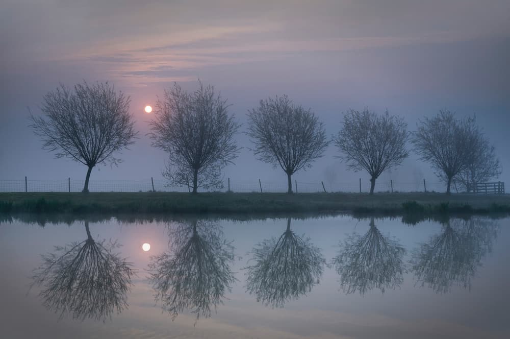Misty Morning Reflections by Susanne Landolt — canvas wall art