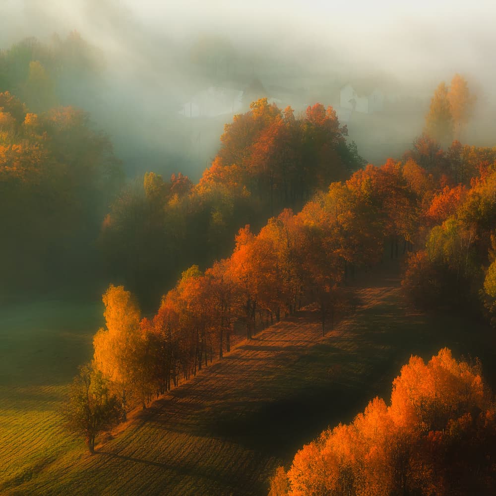 Golden Autumn Mist by Izabela Laszewska-Mitrega / Darek Mitręga — canvas wall art
