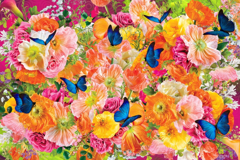Vibrant Floral Butterflies by Sue Skellern — canvas wall art