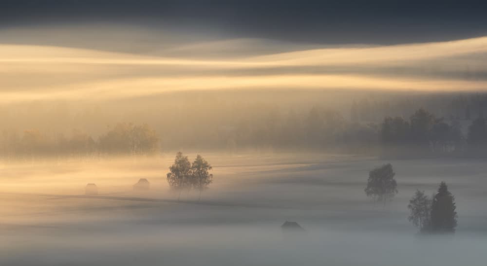 Golden Morning Mist by Nina Pauli — canvas wall art