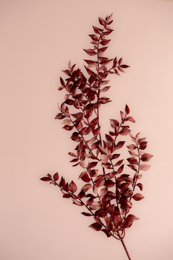 Last Summer 18 by Mareike Böhmer — canvas wall art