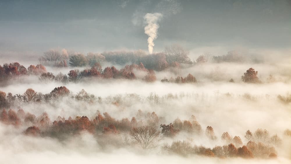 Misty Forest Chimney by Fiorenzo Carozzi — canvas wall art