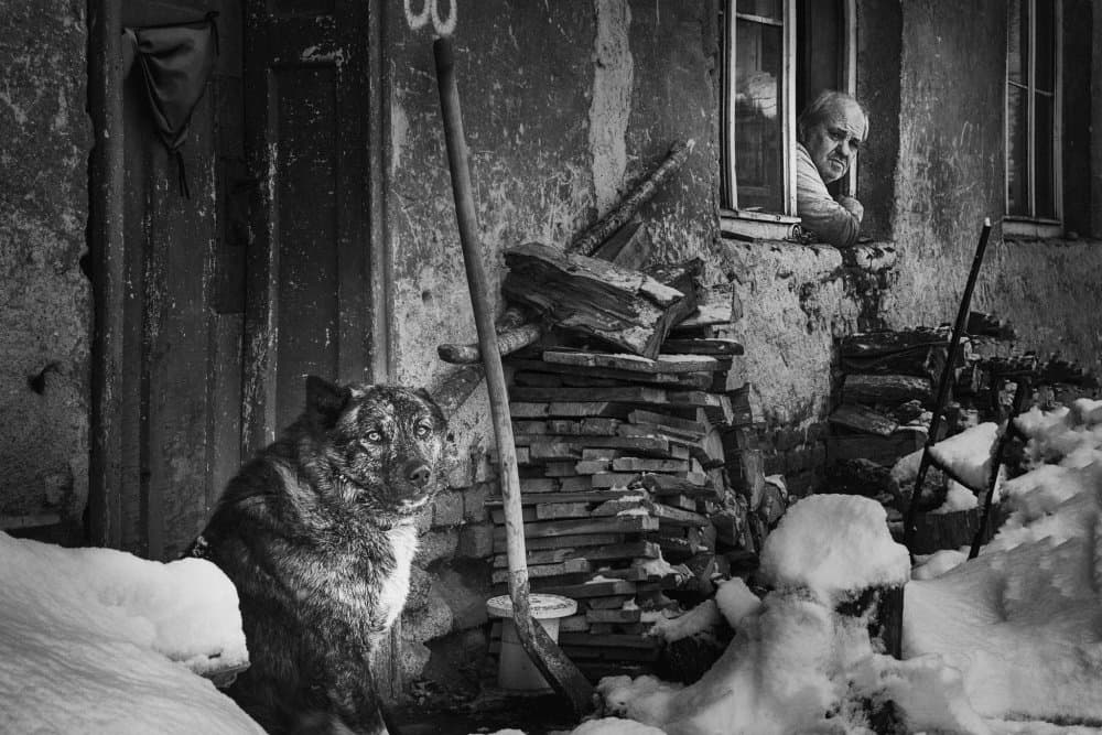 Winter Dog Old Man by Todor Tanev — canvas wall art