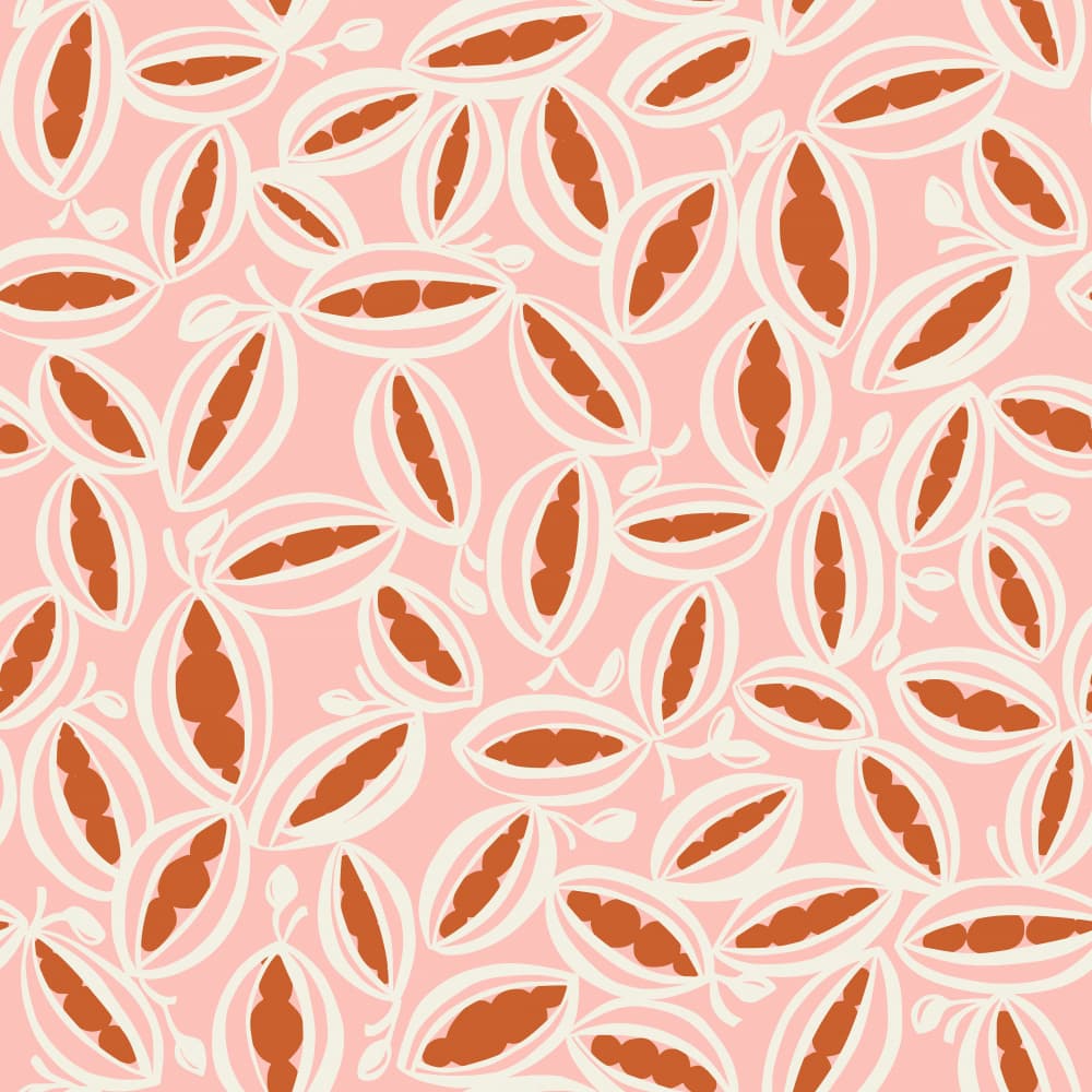 Soft Pink Seed Pods by Annick — canvas wall art