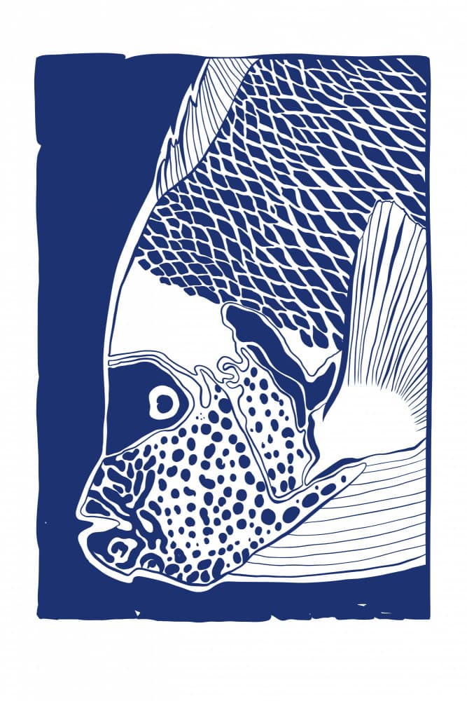 Le Poisson01 by Marianne Bassil — canvas wall art