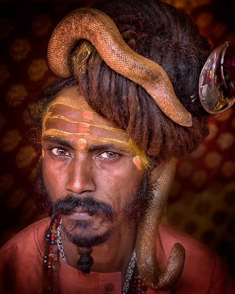 Sadhu With Snake by Giovanni Cavalli — canvas wall art
