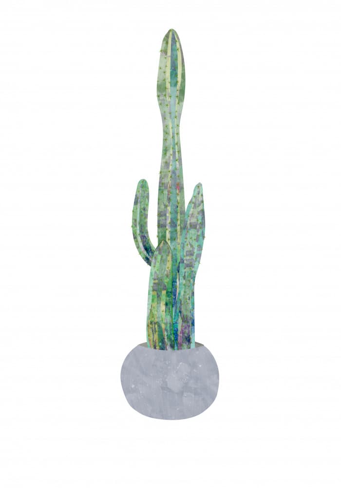 Vibrant Potted Cactus by Sarah Manovski — canvas wall art
