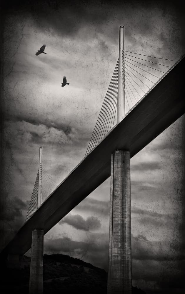 Soaring Bridge And Birds by Jan Scheunders — canvas wall art