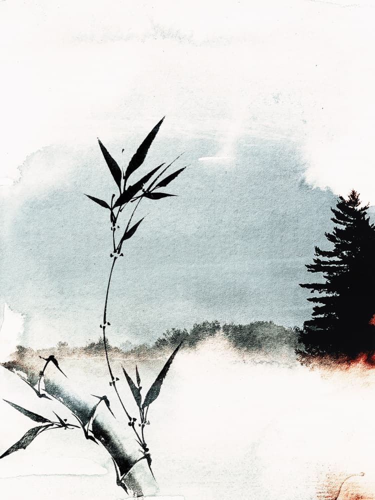 Bamboo Serenity by Treechild — canvas wall art