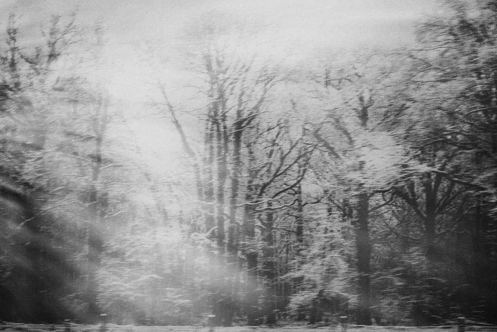 Dreamy Snowy Forest by Imaginative — canvas wall art