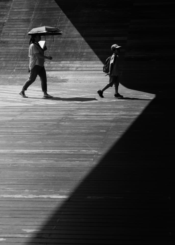 Walking in Light and Shadow by Satoshi Hata — canvas wall art
