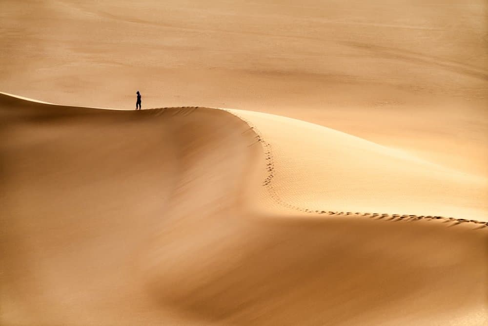Golden Hour Desert Walk by Hamid Jamshidian — canvas wall art