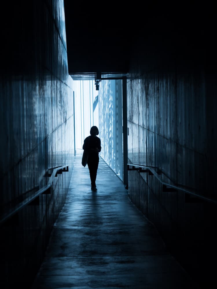 Journey Into Light by IKUMI FUKAZAWA — canvas wall art