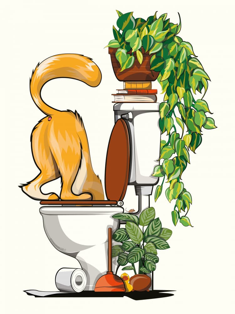 Cat Drinking From Toilet by In The Washroom — canvas wall art