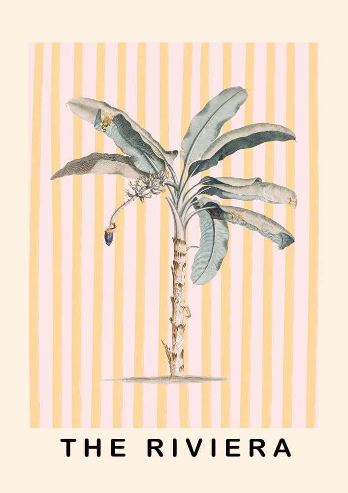 Riviera Banana Palm by Talitha McQueen — canvas wall art
