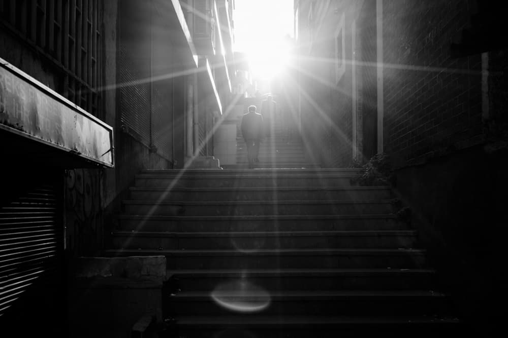 Upward Towards Light by Jochen Bongaerts — canvas wall art