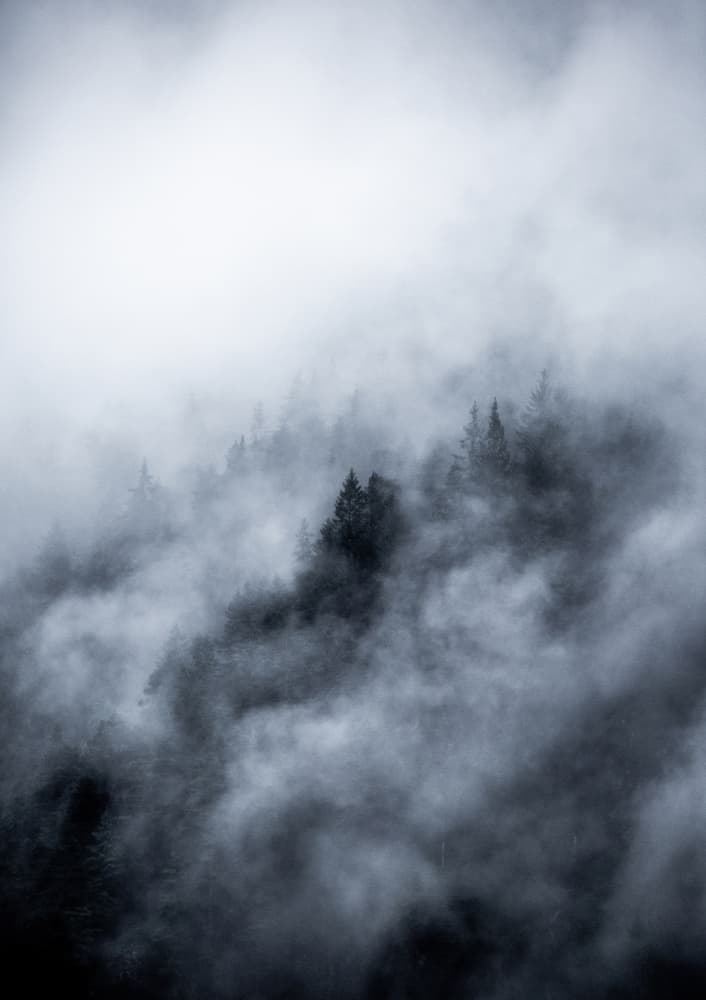 Foggy Morning 3 by Mareike Böhmer — canvas wall art