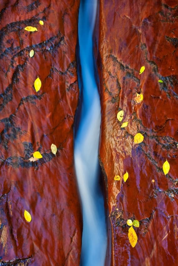 Autumn Canyon Stream by Miles Morgan — canvas wall art