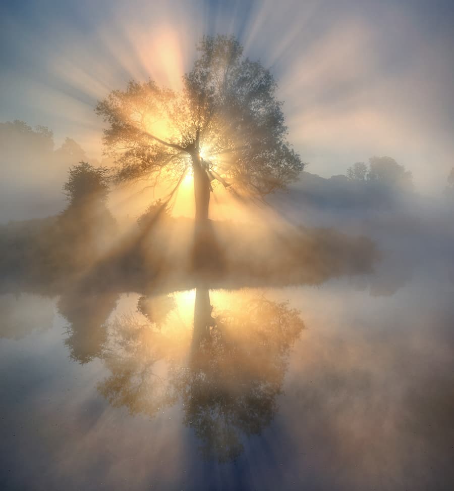 Misty Morning Sunbeams by Keller — canvas wall art