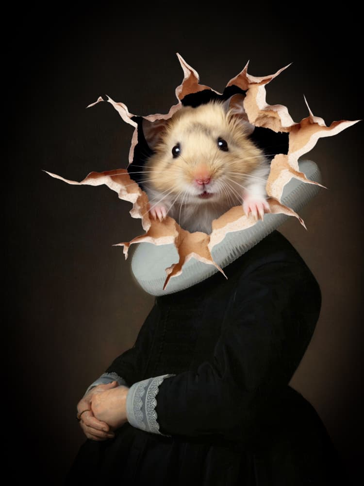 Whimsical Hamster Portrait by Marja van den Hurk — canvas wall art