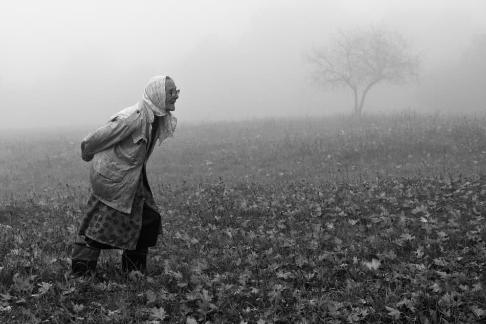Elderly Woman Foggy Field by Przemyslaw Kruk — canvas wall art