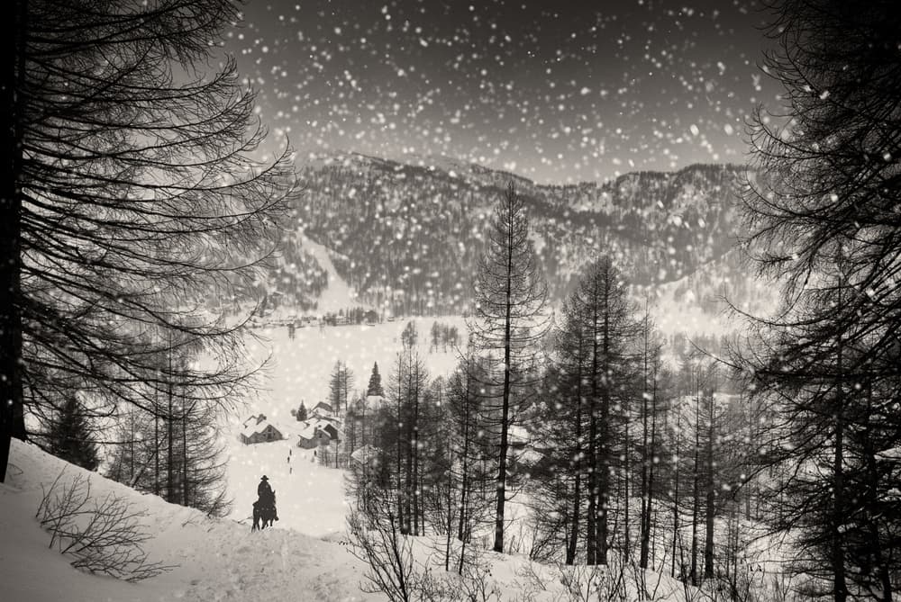 Winter's Silent Journey by Vito Guarino — canvas wall art