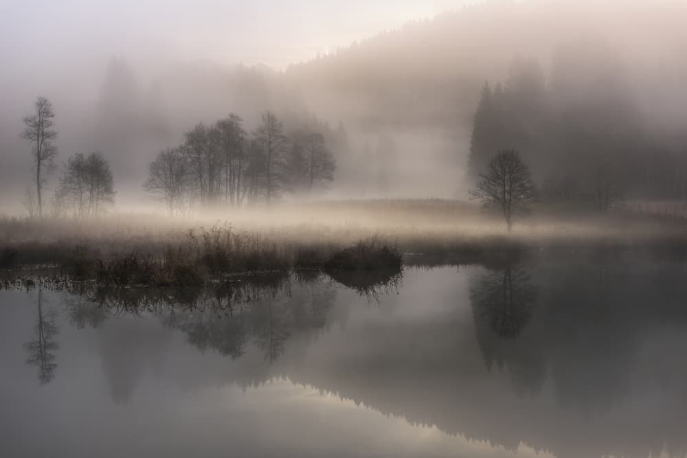 Misty Lake Reflection by Nina Pauli — canvas wall art