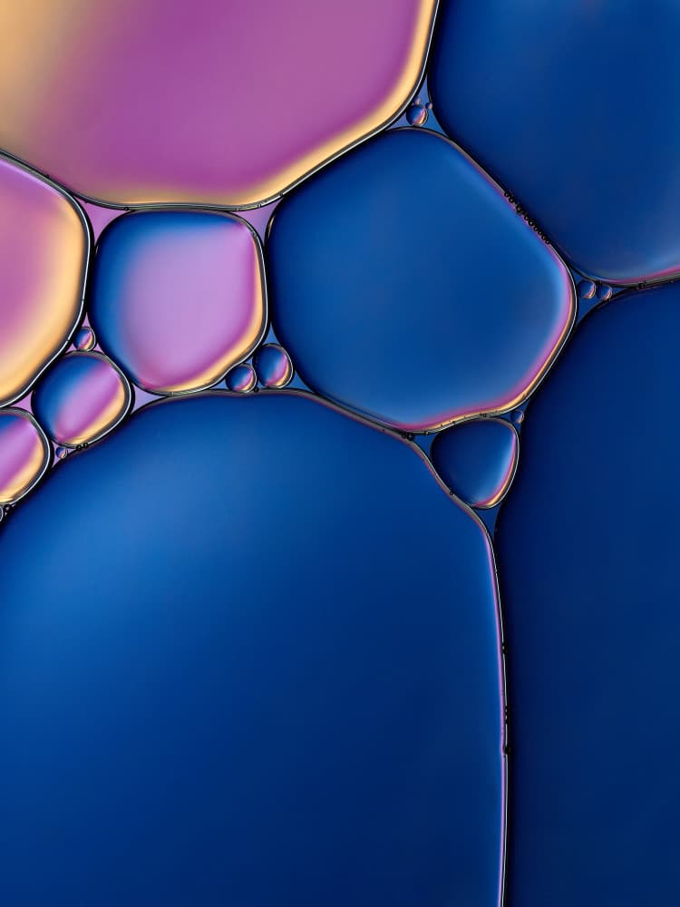 Vibrant Liquid Cells by Heidi Westum — canvas wall art