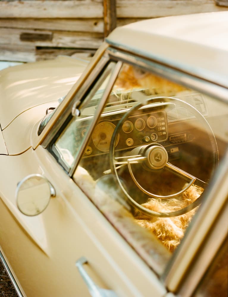 Sunny Vintage Interior by Bethany Young — canvas wall art