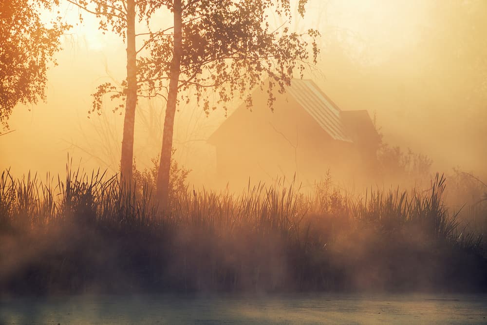Golden Morning Fog by Dmitry Doronin — canvas wall art