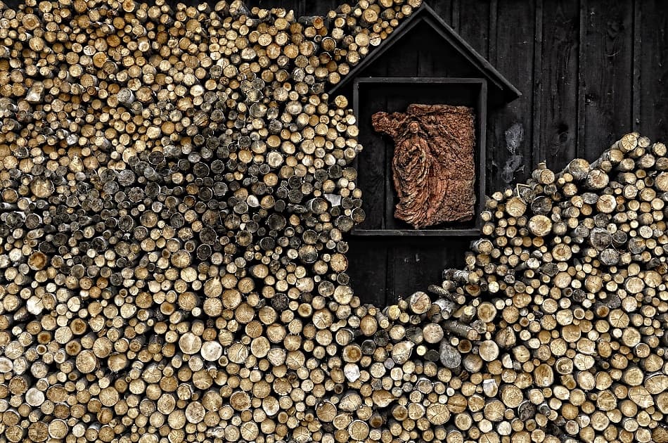 Rustic Woodpile Sanctuary by Konrad Szuszkiewicz — canvas wall art