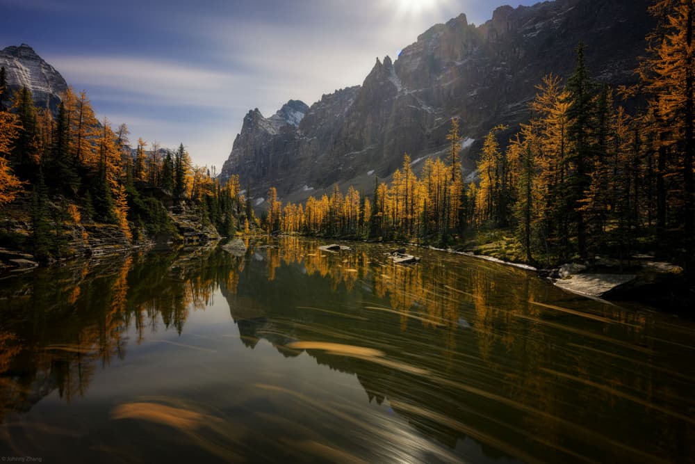 Golden Larch Reflections by Johnny Zhang — canvas wall art