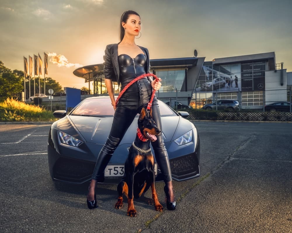 Woman Doberman Luxury Car by Vasil Nanev — canvas wall art