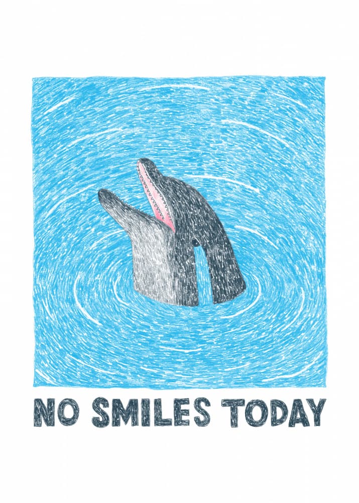 Dolphin No Smiles Today by Martina Scott — canvas wall art