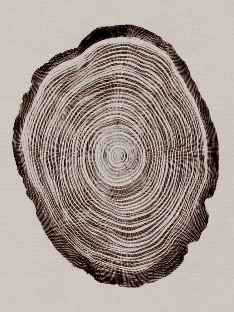 Silentarchive by Treechild — canvas wall art