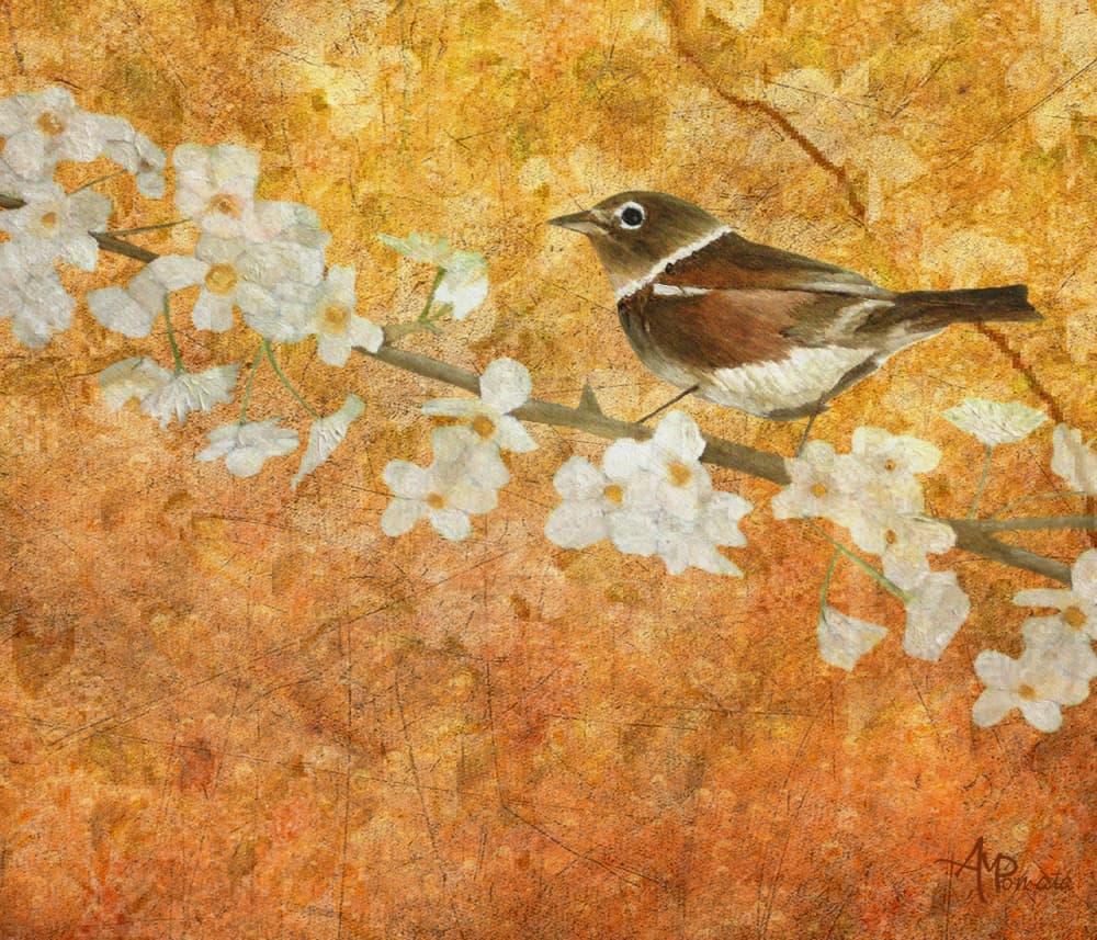 Spring Bird Blossom by Angeles M. Pomata — canvas wall art