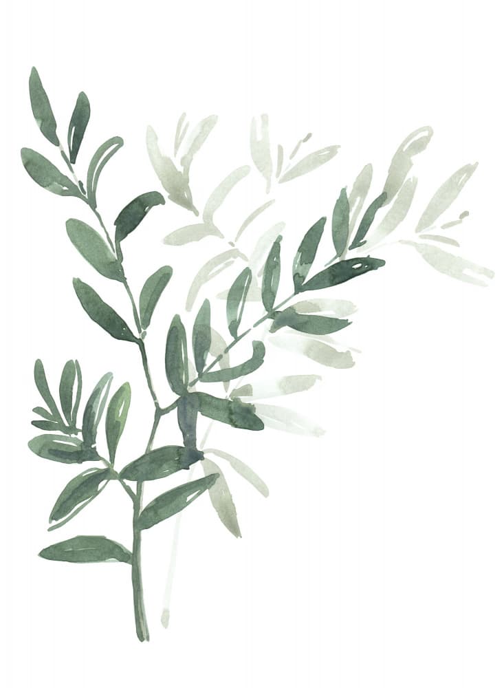 Delicate Watercolor Leaves by Rosana Laiz Blursbyai — canvas wall art