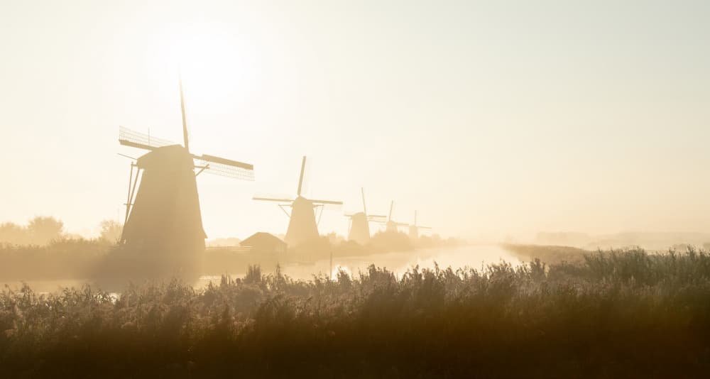 Misty Windmills Sunrise by Adam Dauria ☂ — canvas wall art
