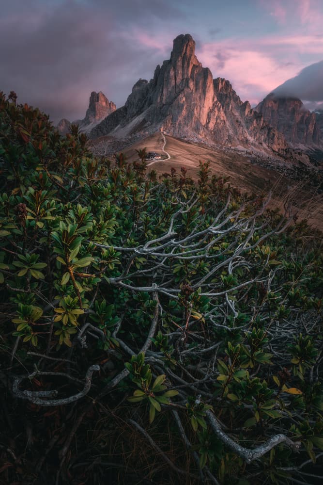 Alpine Peaks Sunset Glow by Thomas de Franzoni — canvas wall art