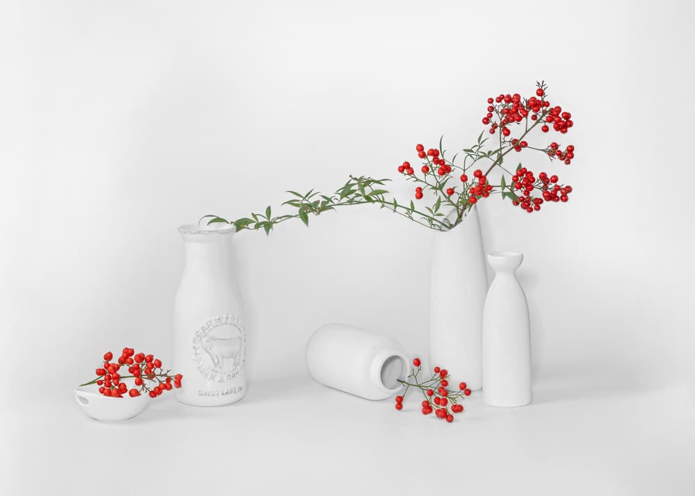 Minimalist Red Berry Display by Annie Poreider — canvas wall art