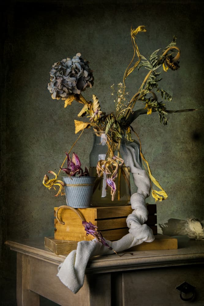 Vintage Dried Still Life by Felice Angelino — canvas wall art